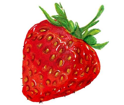 morangoblog's profile picture. Hi, we're Lia and Nino web addicted and blog passionate! We're the morango's voices =) check our blog, you'll like it!