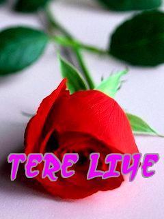 Nasir_Hamid_'s profile picture. Student