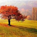 Roberto Recchia - @Recchia_Cj - Twitter