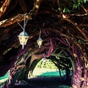 Nicole Badillo - @nicolemusic5 - Twitter