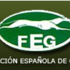 FEDERACION ESPAÑOLA DE GALGOS.