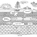 Jared Leader - @jleaderDIRT - Twitter