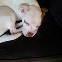 Paula Pearson - @Paulapp_74 - Twitter