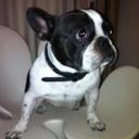 thomas bondi - @BondiThomas - Twitter