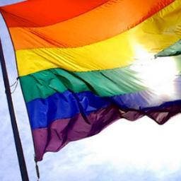 Somos um Grupo que lita contra qualquer forma de preconceitos e homofobia. Usamos para isso ações positivas de fomento e defesa.