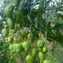 sigfredo Ramírez - @sigfredoRamrez - Twitter