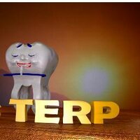 Thays Rodriguez (@thaysrodriguezp) 's Twitter Profile