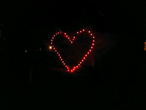 SpringstarJames's profile picture. 