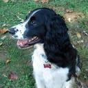 Tim Wolford - @EliWellsby - Twitter