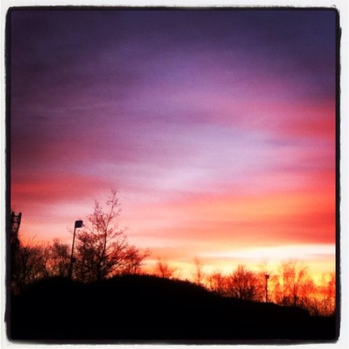 raindrop345's profile picture. nice to tweet you