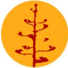 Welcome to Arbaspàa Tour Organizer.
Your global solution to discover Cinque Terre and Liguria