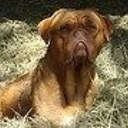 Ada van den Heuvel - @ada_den - Twitter