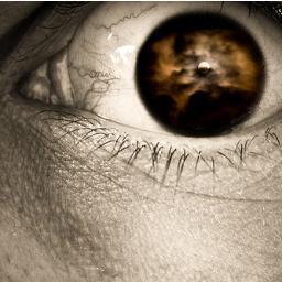 Je te vois, twitto. Je t'observe. Tu n'es pas seul.