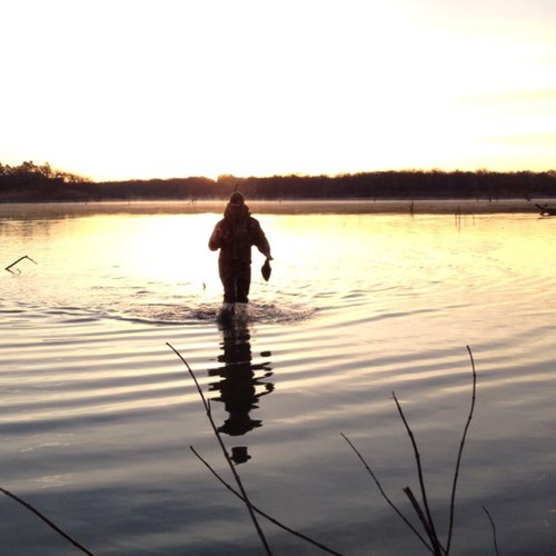 m_steiner90's profile picture. 