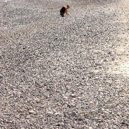 rrenate's profile picture. Taking a never ending walk on Twitter enjoying the scenery of Tweets and Tweeps - (Social) Media, Visuals, Internet, Music, Stories, Education, Video