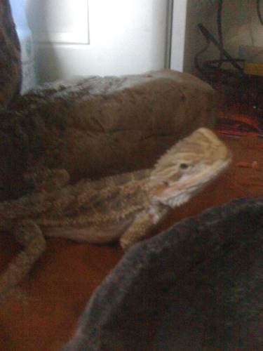 keryannis's profile picture. mum of 8 great kids and wife to a wonderful husband