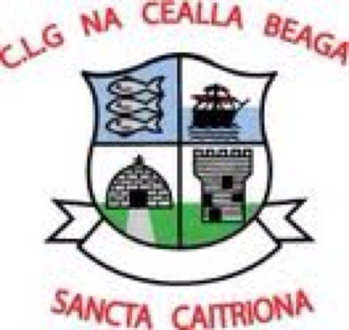 official page of killybegs gaa.