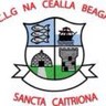 KILLYBEGSGAA's profile picture. official page of killybegs gaa.