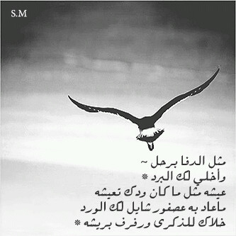 اللهم أصلحني حتى أستحق جنّتك ♡