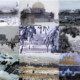 ‏‏‏‏‏‏‏‏مهتم ‎‎‎#التسوق_الالكتروني_بالعمولة ‎‎‎‎‎#كوبنات_الخصم ‎‎‎‎‎‎‎‎#التجارة_الالكترونية