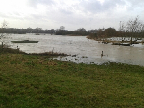 jasonpaul291181's profile picture. do not feed after midnight!!!