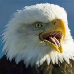 Baptist Pastor, Tea Party Constitutional Conservative & generally sick of a government out of bounds and out of control. Husband of @chendo721