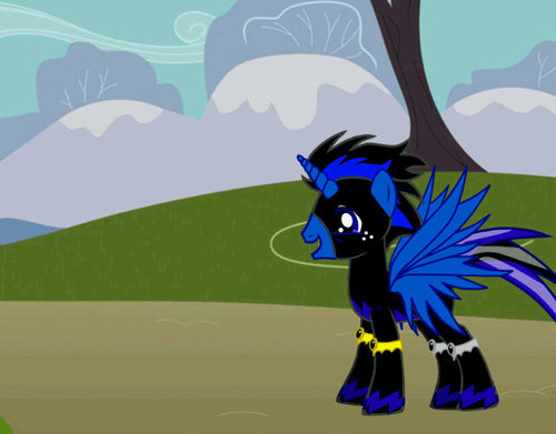 .I'm still @mlp_BlackWidow's apprentice. Brothers: @mlp_shadowblast @mlp_axton @mlp_warriorRush @mlp_daggerblaze @mlp_danielblast.