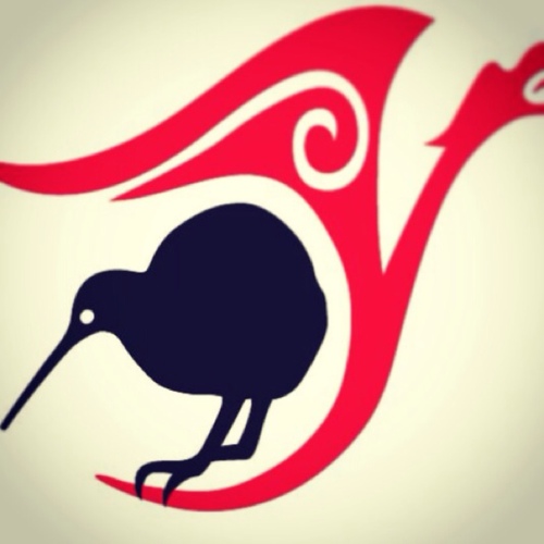 Kiwi Dragons Touch Profile