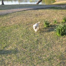 denisew13's profile picture. Give only what you wish to receive.. I followback..