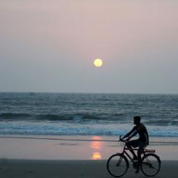 ricardojhonhen's profile picture. soy amable divertido  perfecionsta