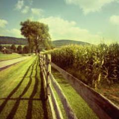 summer. country. friends. there ain't nothin' better. so follow me along the country road.