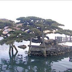 terato10's profile picture. 日常あった出来ごとなど、つぶやきます