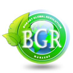 bgrnursery's profile picture. 