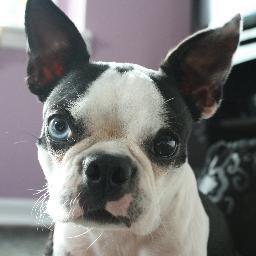 PFarmer_39's profile picture. Cincinnati sports fan, weekend warrior.