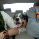 Angela Rust - @AngelaRust2 - Twitter