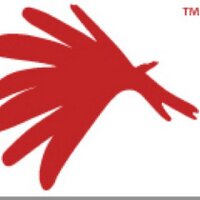 Movement Links (@movementlinks) 's Twitter Profile