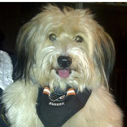 turnip22's profile picture. 