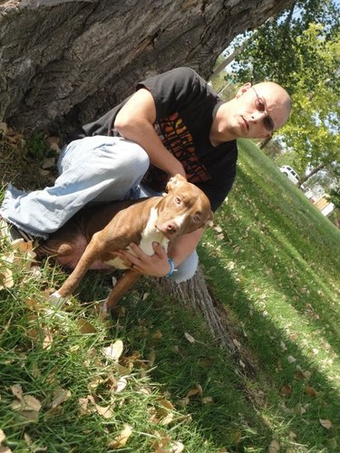 England2Alex's profile picture. fuckin dirt bags