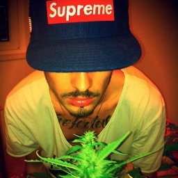 I get really high and then have sex, keep'in it trill since 90'
