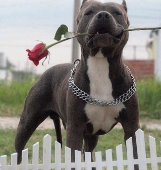 CraggsRonald's profile picture. single,