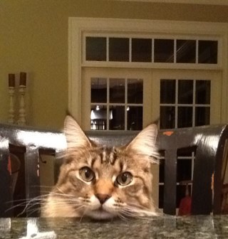 becky2241's profile picture. Born in Nashville, TN