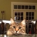 Becky Appleton - @becky2241 - Twitter