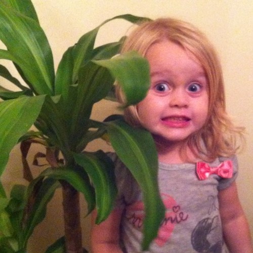 JckHck's profile picture. Harper's mom. Gregory's wife. Recovering editor of @theoldhamera weekly newspaper. @WKU j-school grad.