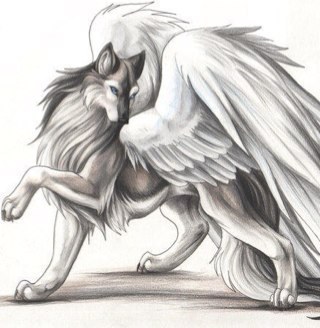 skyfall_lance's profile picture. Call me SkyFall. Im a wolf born from a rock. Usually roams in the sky a lot. ((SINGLE))