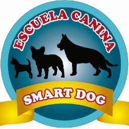 Somos una empresa de adiestramiento canino, para mayor informacion escribenos a
smartdogperu@gmail.com