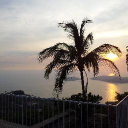 mdelaoa's profile picture. 