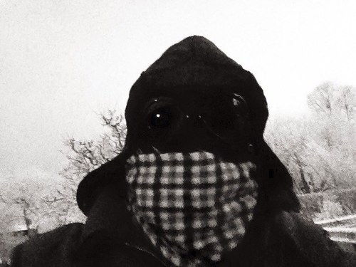 FredrikHolmq's profile picture. Sundsbuse.