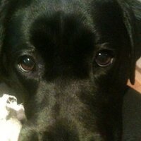 jo burke (@joburke5) 's Twitter Profile