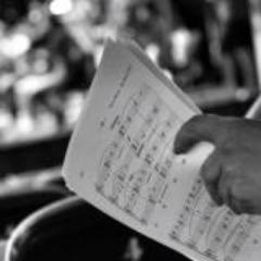 Master Symphony Orchestra, MSO,es una orquesta sinfónica,nacida en Valencia. La combinación perfecta entre profesionalidad y formación, en constante evolución