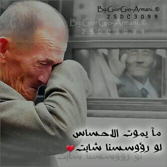 shoog_173's profile picture. 